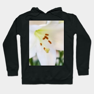 White Lily Hoodie